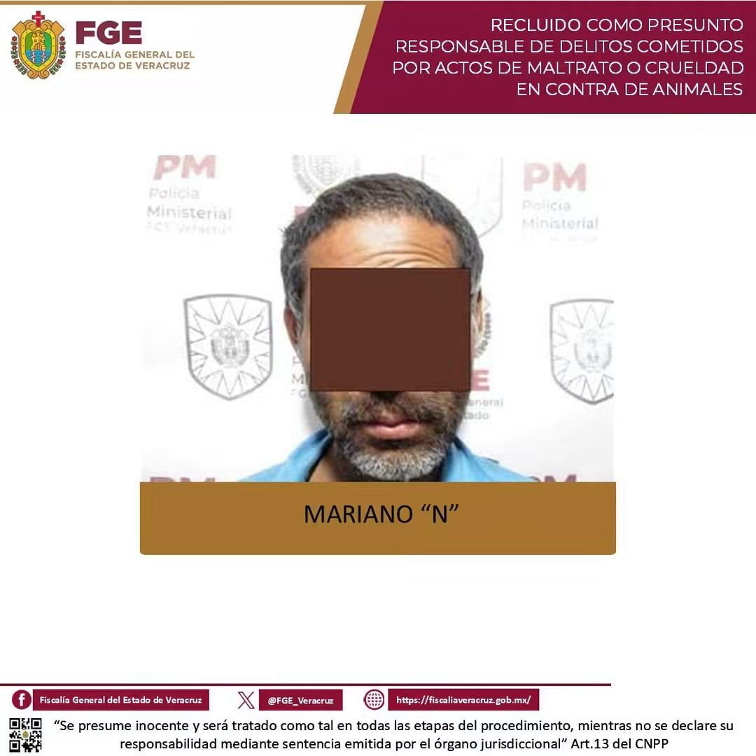 𝗘𝗻 𝗫𝗮𝗹𝗮𝗽𝗮, 𝗰𝘂𝗺𝗽𝗹𝗶𝗺𝗲𝗻𝘁𝗮𝗻 𝗼𝗿𝗱𝗲𝗻 𝗱𝗲 𝗿𝗲𝗮𝗽𝗿𝗲𝗵𝗲𝗻𝘀𝗶𝗼𝗻 𝗰𝗼𝗻𝘁𝗿𝗮 𝘀𝗲𝗻𝗮𝗹𝗮𝗱𝗼 𝗽𝗼𝗿 𝗺𝗮𝗹𝘁𝗿𝗮𝘁𝗼 𝗮𝗻𝗶𝗺𝗮𝗹