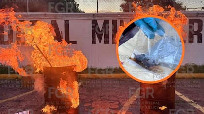 La FGR destruye en Veracruz casi cinco toneladas de drogas, piratería y arsenal bélico